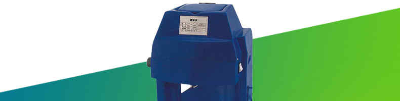 598bd6ffe8731.jpg